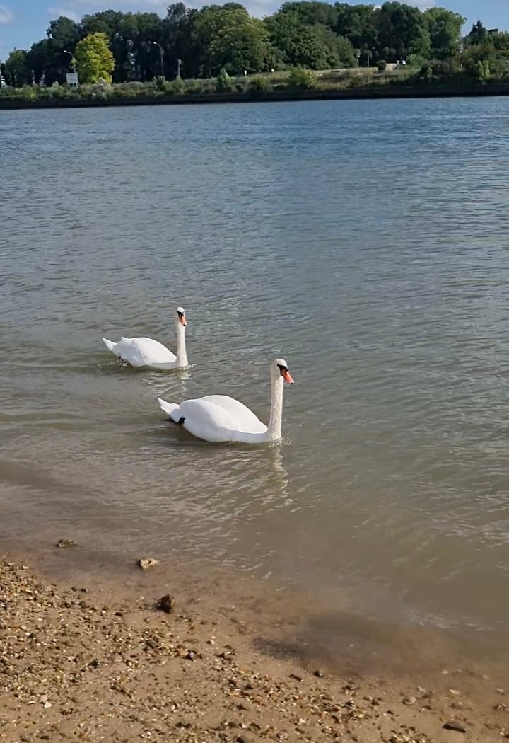 St Aubin's Beach 1